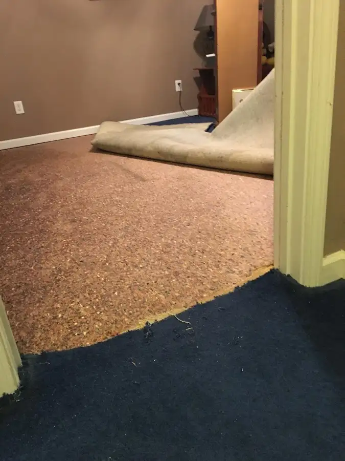Carpet pad removal revealing water damage during Drying & Dehumidification in Plattsmouth