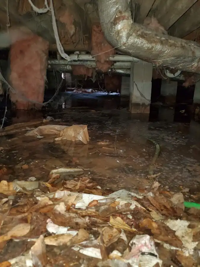 Crawl space flood assessment for Commercial Water Damage Restoration in Plattsmouth